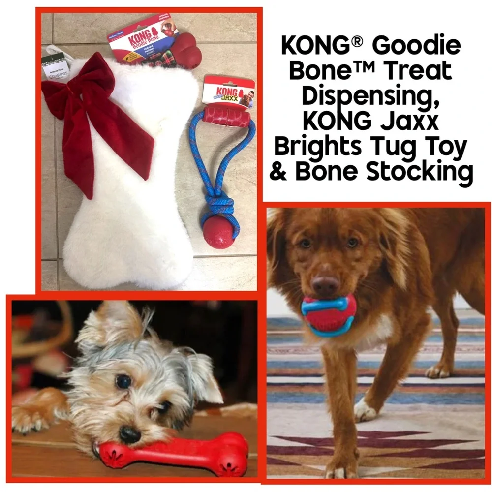KONG® Goodie Bone™ Treat Dispensing, KONG Jaxx Brights Tug Toy & Bone Stocking
